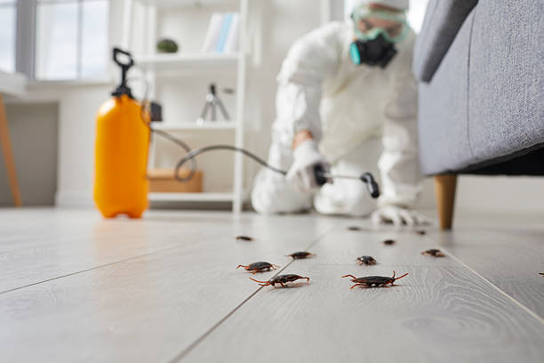 Post-Treatment Bed Bug Interceptor Monitoring in Marlton
